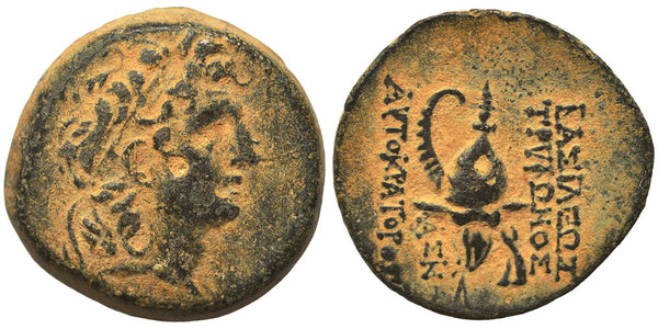 Ancient Greek coin of the Seleukid King Diodotus Tryphon 142-138 BC - Spiked Boeotian helmet adorned with wild goat horns