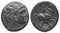 Ancient Macedonian bronze coin of Philip III Arrhidaios son of King Philip II of Macedon