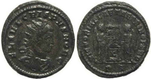 Ancient Roman coin of Crispus - VICTORIAE LAETAE PRINC PERP - Ticinum