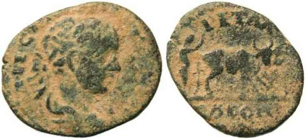Elagabalus - Petra, Arabia AE20