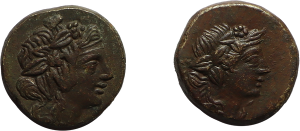 2 Ancient Greek coins from Pontos, Amisos
