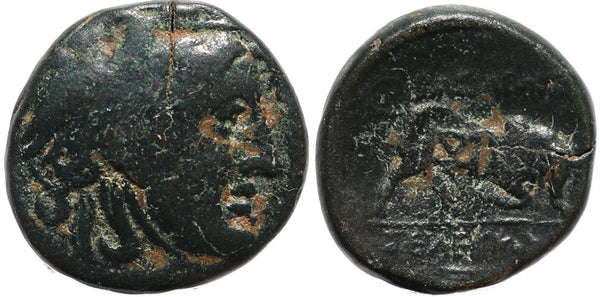 Ancient Seleucid coin of Seleukos I - Winged Medusa and Bull - countermarked