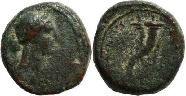 Ptolemy IV and Arsinoe III - Svoronos 1160, BMC 4, Sear 7850