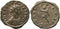 Probus - MARTI PACIF 21mm, 2.7 grams