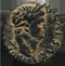 Ancient Roman coin of Domitian - Antioch