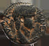 Ancient Roman coin of the Emperor Nero - Antioch