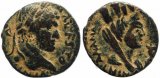 Roman coin of Caracalla - COL MET ANTONINIANA AVR ALEX - Carrhae, Mesopotamia
