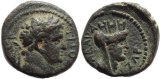Roman coin of Titus as Caesar AE17 of Gadara, Decapolis. Year 137 = 73/4 AD.